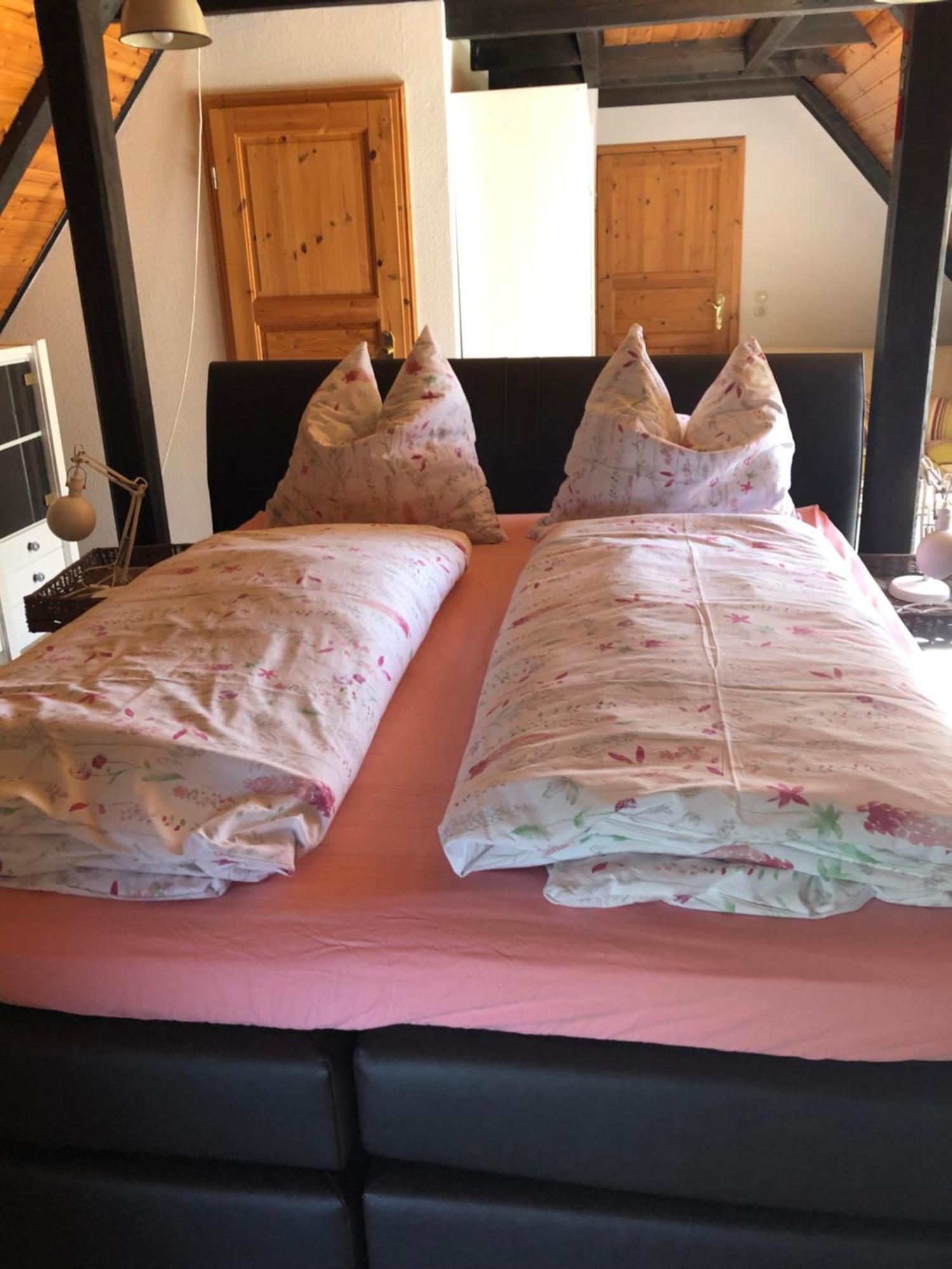 Holiday home Deichlust *