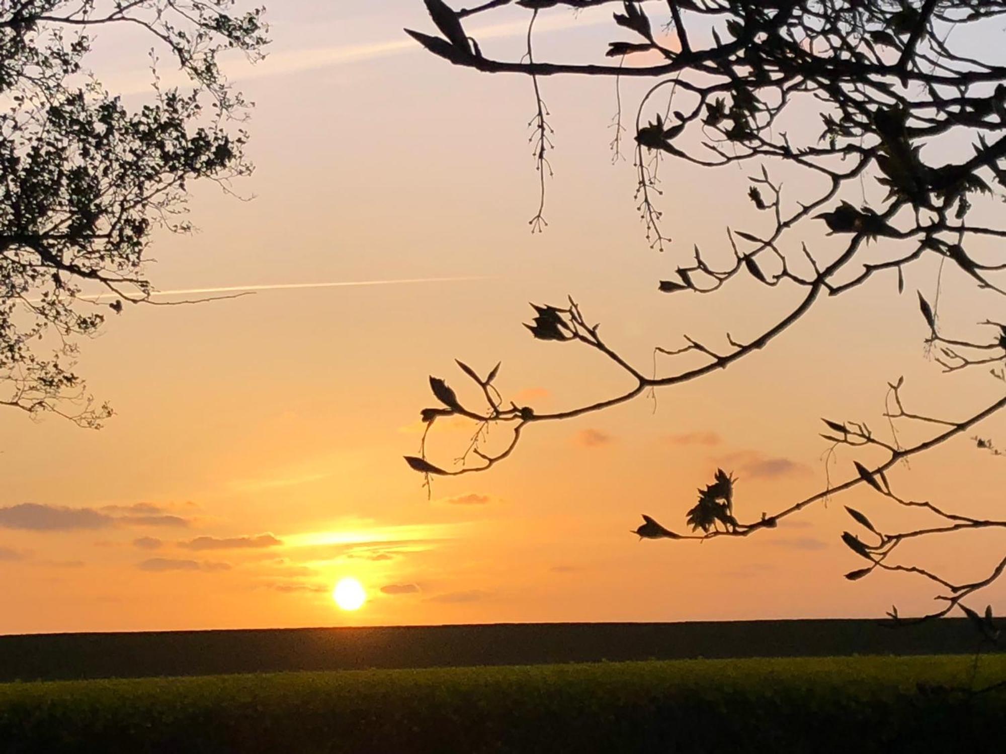 Deichlust * Cappeler Niederstrich